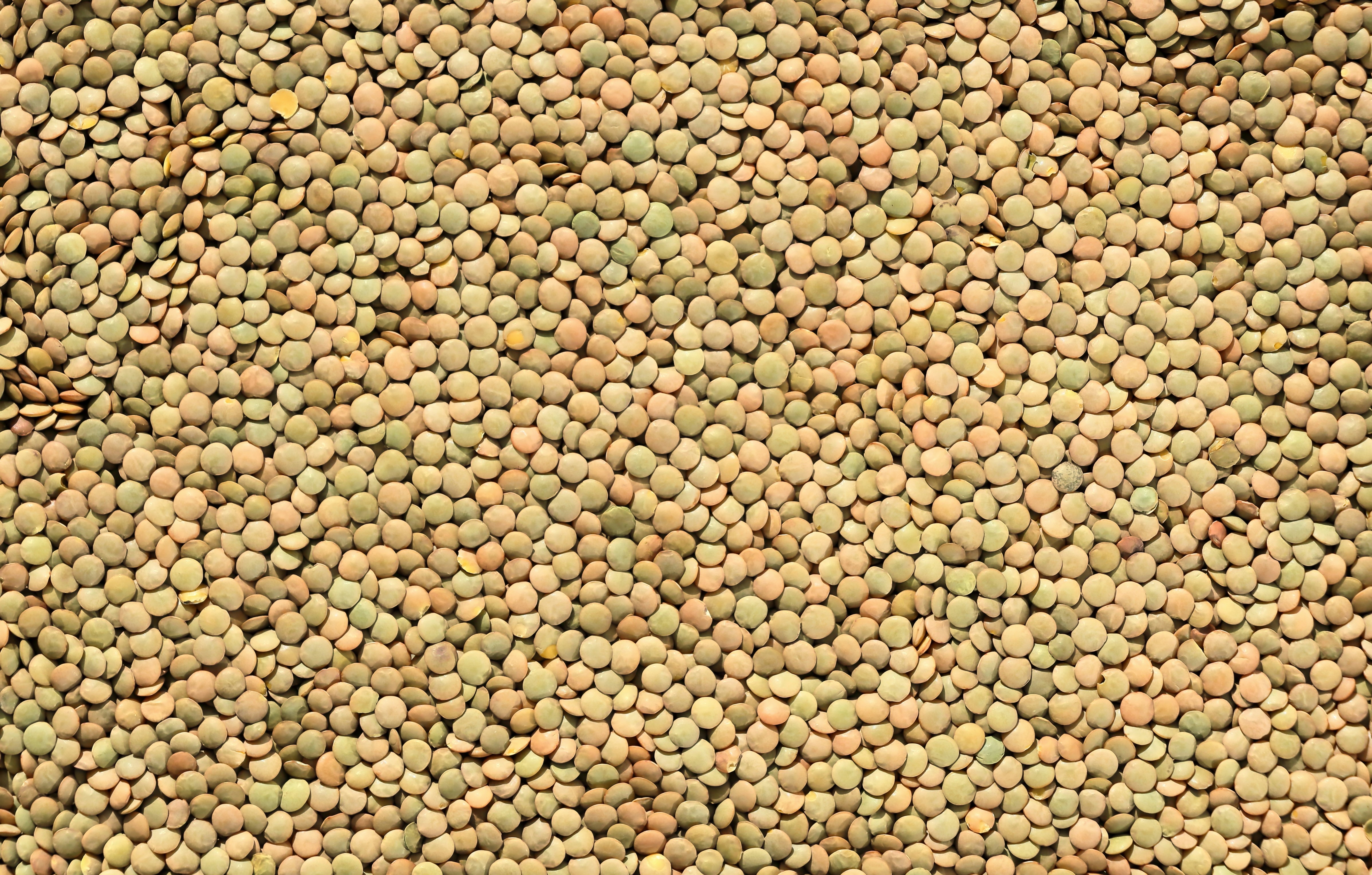 ΦΑΚΕΣ ΜΕ ΜΑΝΙΤΑΡΙΑ